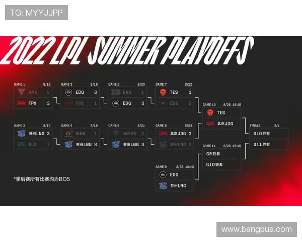 赛后复盘分析TES与JDG对决中的节奏变化与战术选择