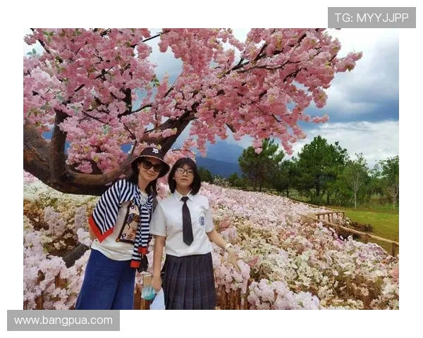 探索布莱克尼的魅力与历史:一段关于文化与自然的奇妙旅程 探索布莱克尼的魅力与历史:一段关于文化与自然的奇妙旅程