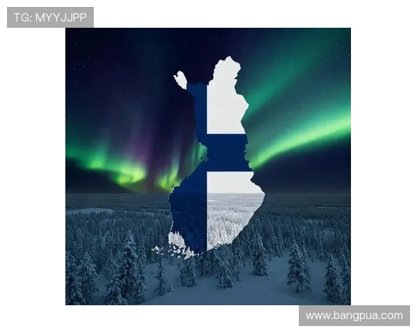 芬兰与爱沙尼亚历史渊源探讨及两国关系演变分析