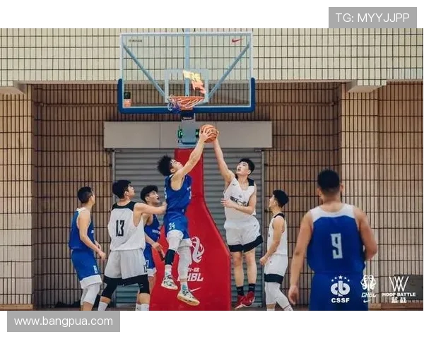 重庆篮球队战术变革引发热议新策略助力球队重返巅峰