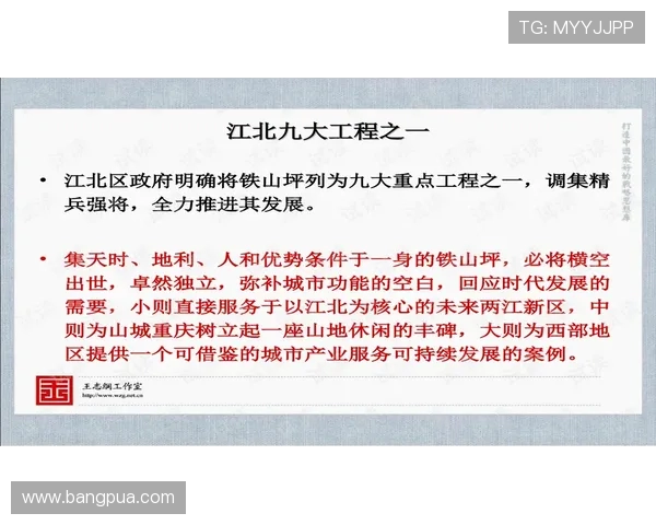 重庆飞盘队与广州飞盘队对决后的深度分析与经验总结