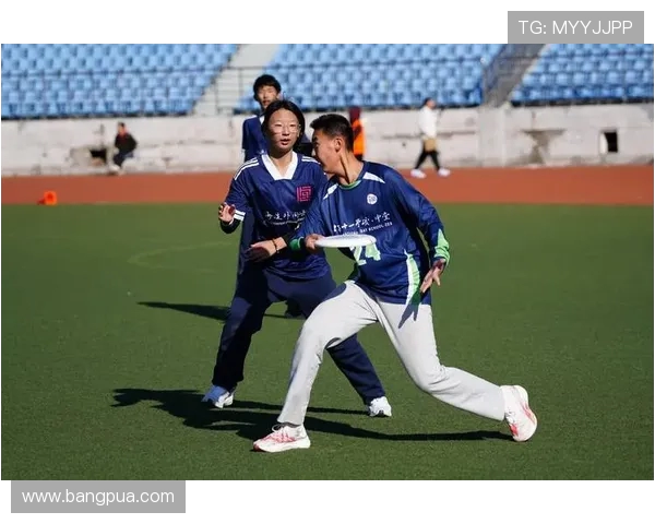 飞盘团队协作排行榜：北京飞盘队位居第5名