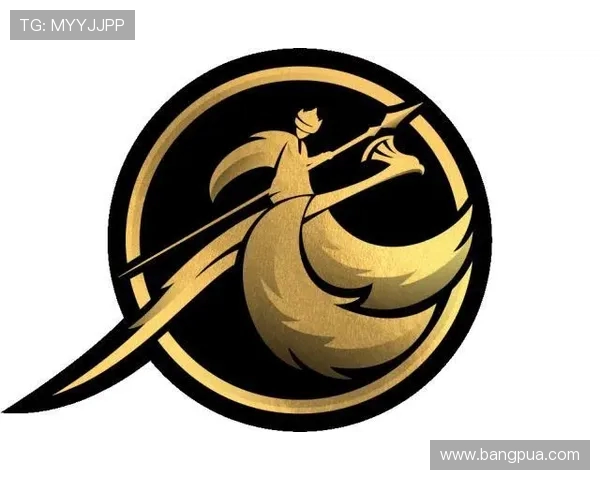 CSGO盛宴揭秘JDG战队的极速战术与团队配合之道