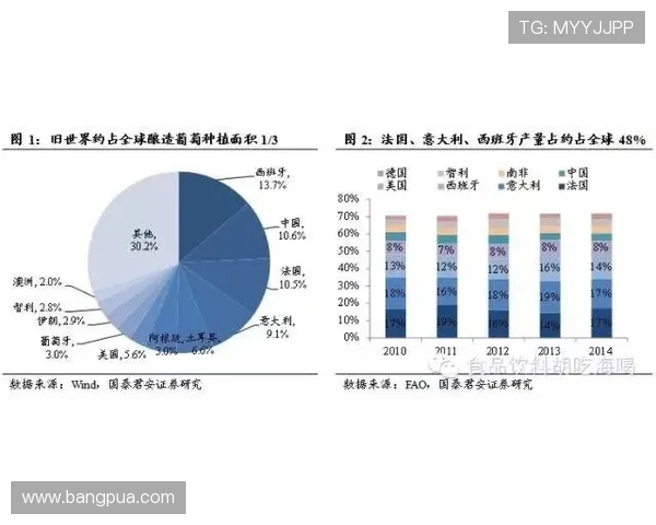 TES阵地战全解析：从战术布局到团队协作的深度剖析