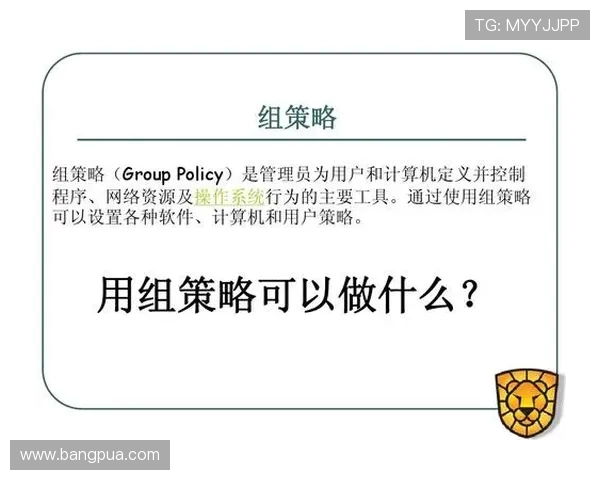 杭州网球队的控制策略与深度分析：探寻网球运动的核心秘密
