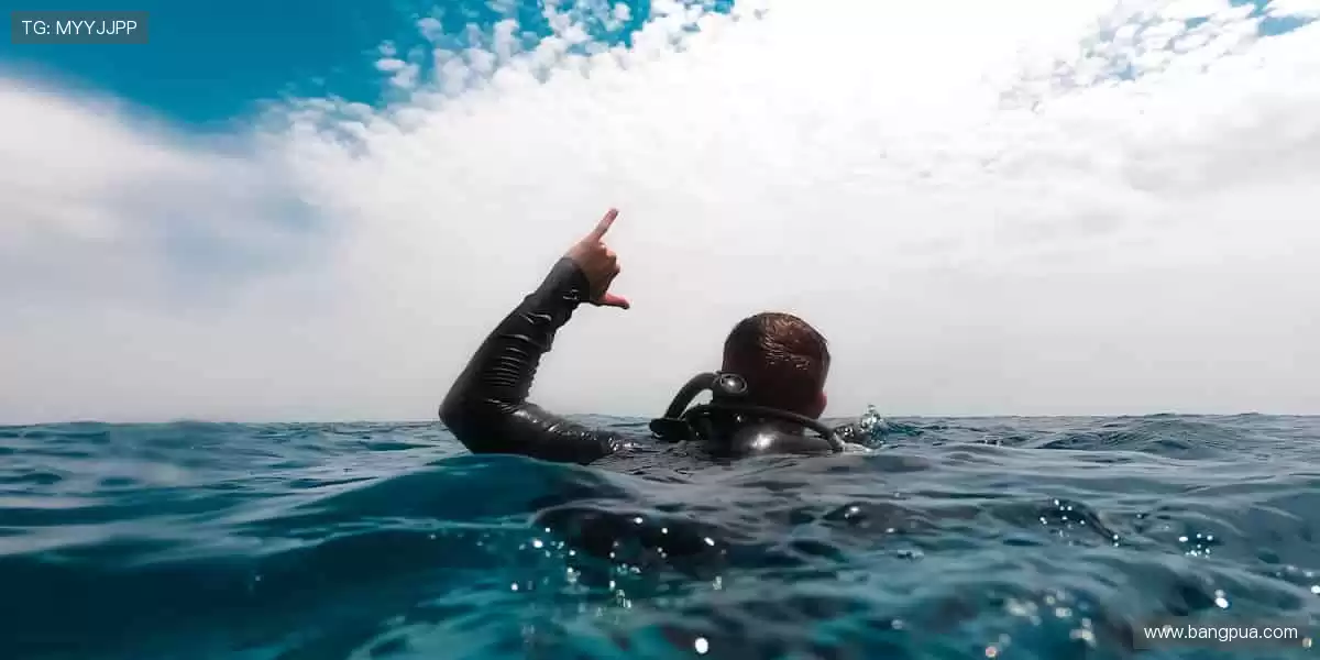 赛事直播，实时互动，与全球球迷同频狂欢！💬🎉